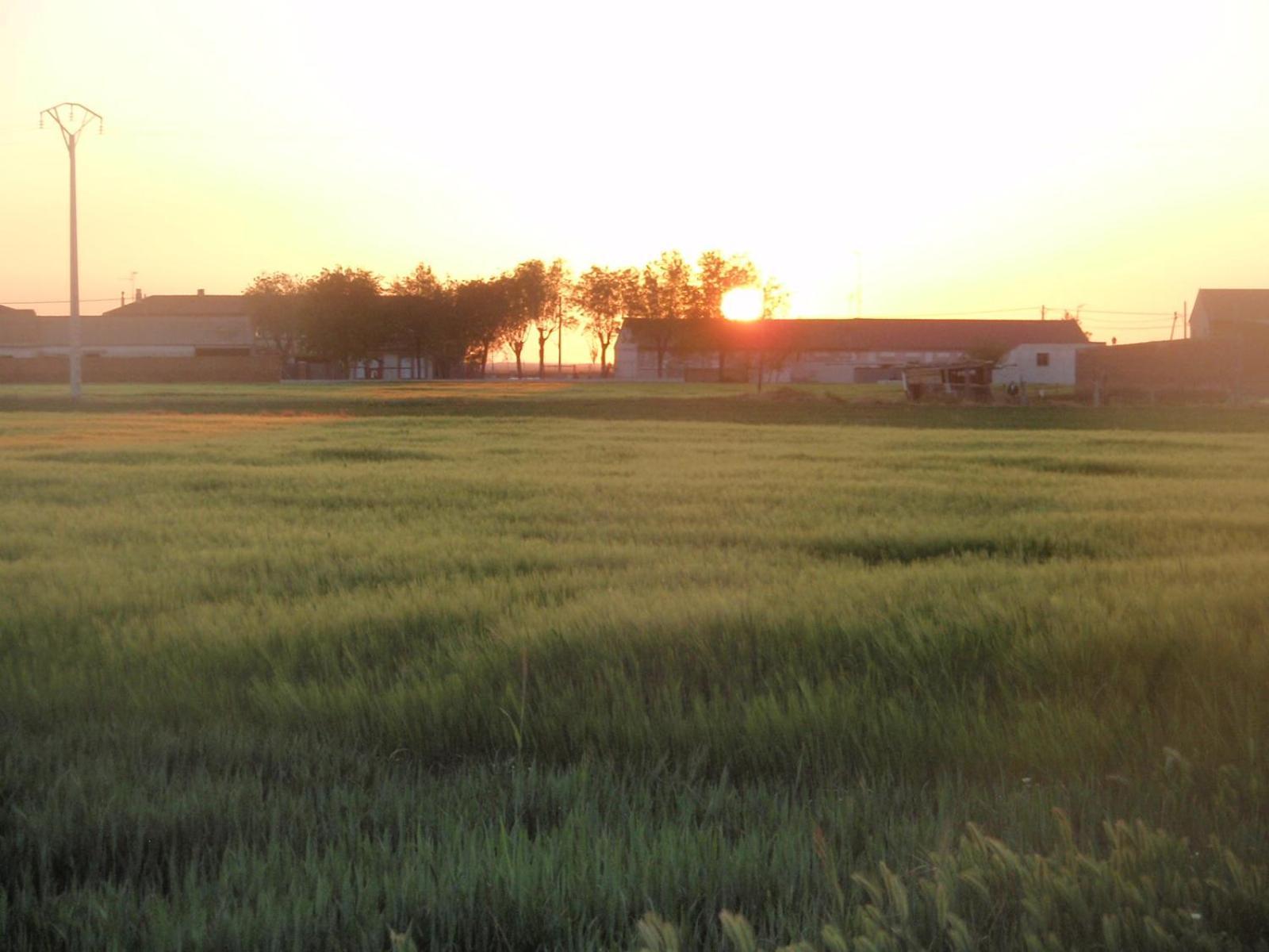 Casa Rural La Sastreria De Adanero 外观 照片